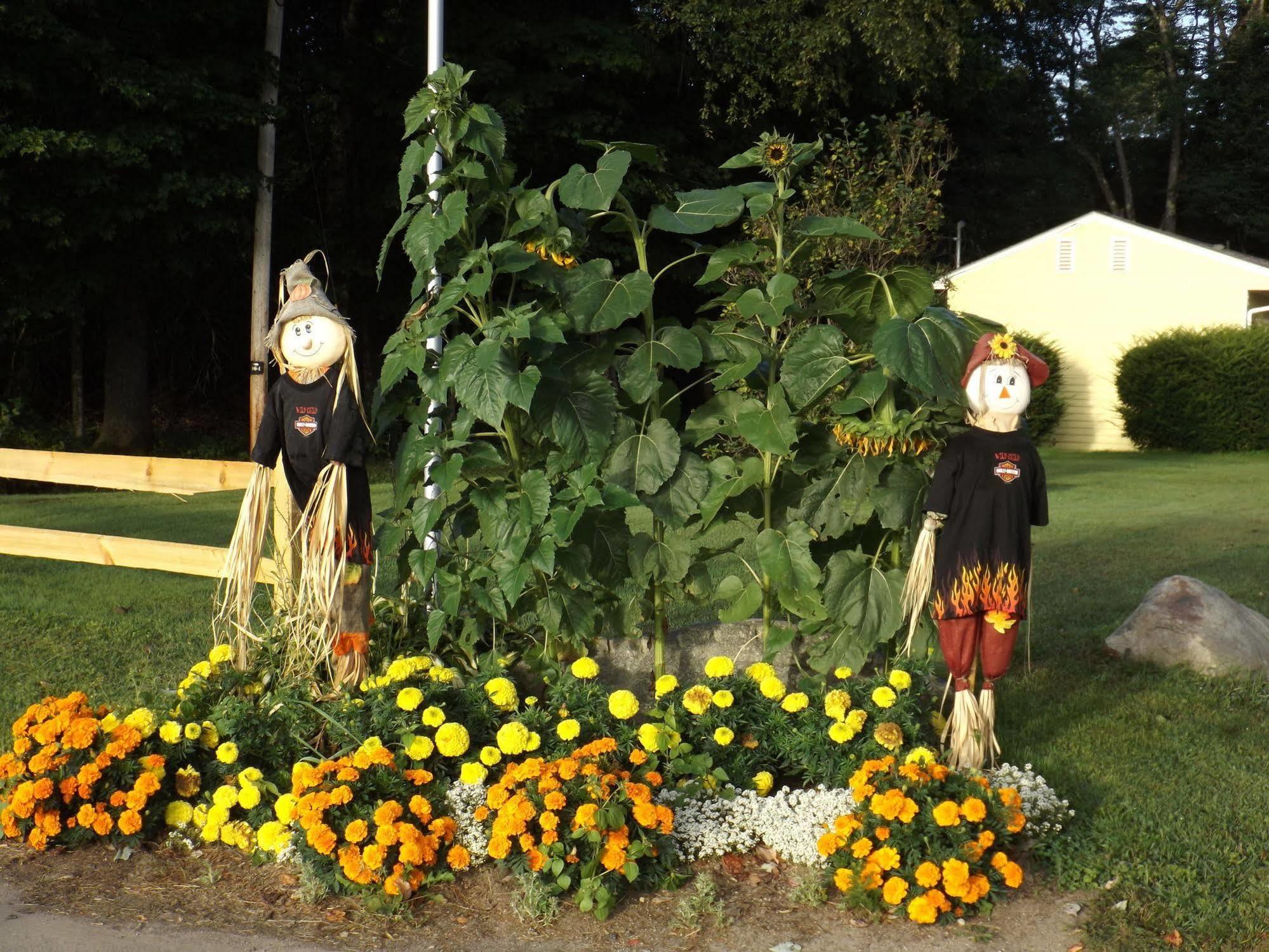 The Inn At The Rostay Bethel Exterior foto